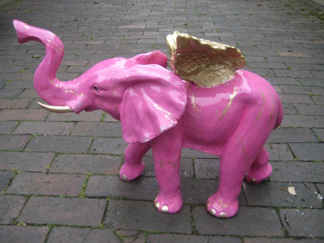 Zoo_145