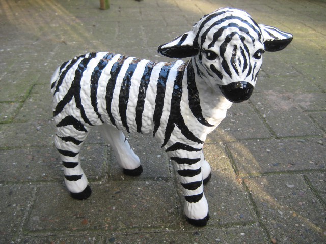 Zoo_176