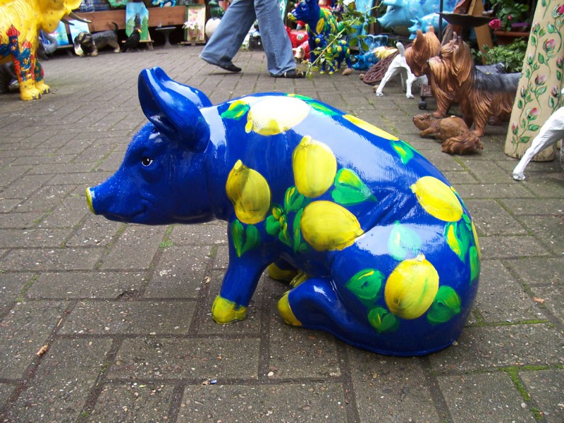 Zoo_222