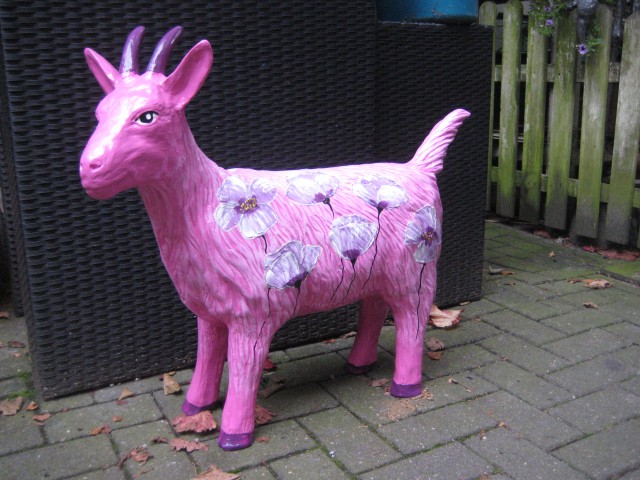 Zoo_23