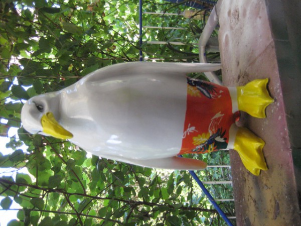 Zoo_26