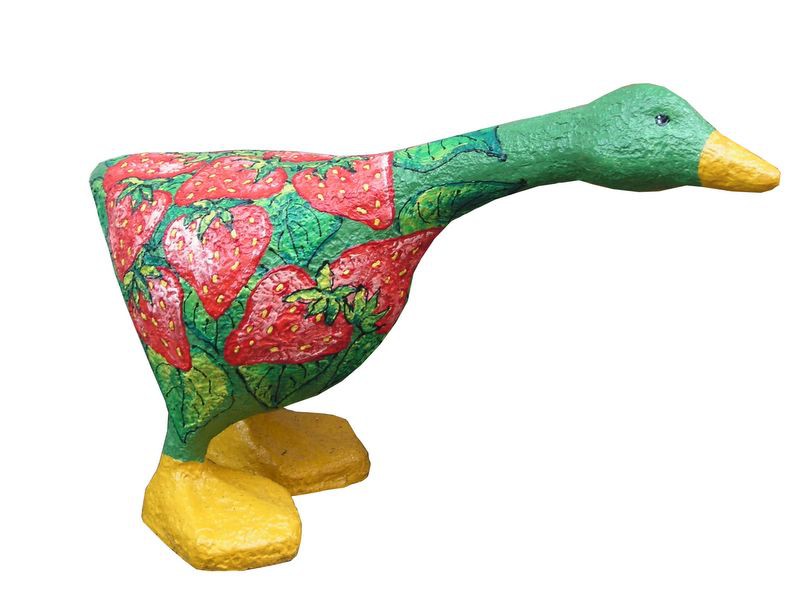 Zoo_261