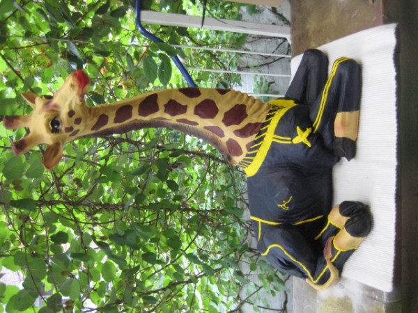 Zoo_29