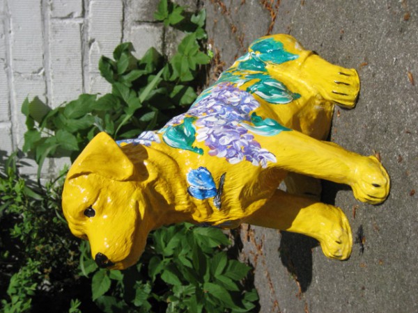Zoo_296
