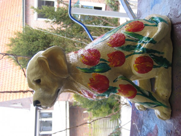 Zoo_3