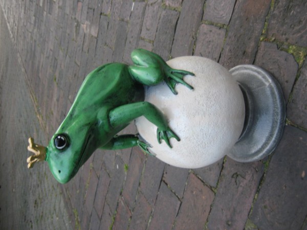 Zoo_349