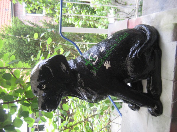 Zoo_363