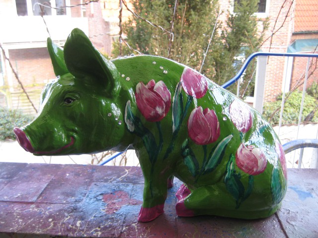 Zoo_5