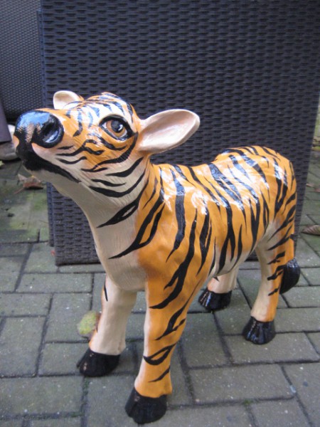 Zoo_75