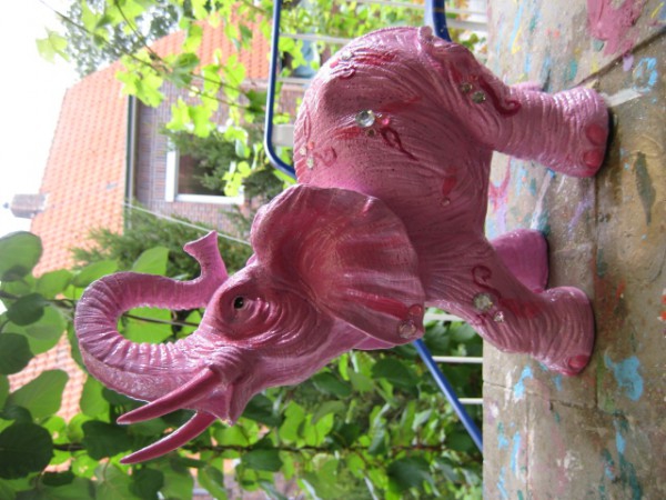 Zoo_79