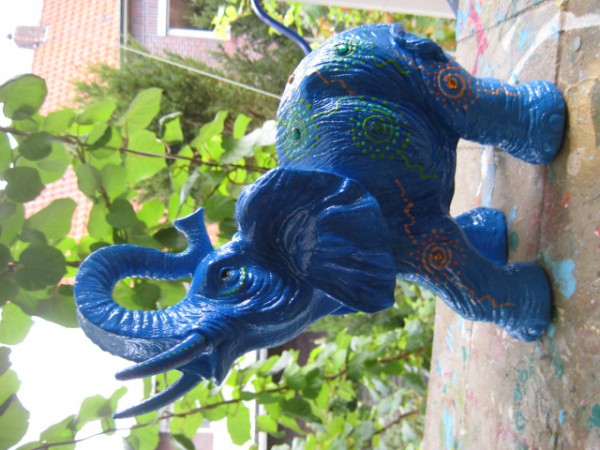 Zoo_81