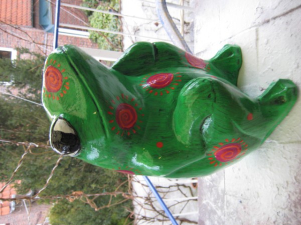 Zoo_9